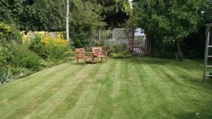 Garden maintenance lawn mowing, hedges