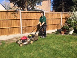 Mowing the lawn