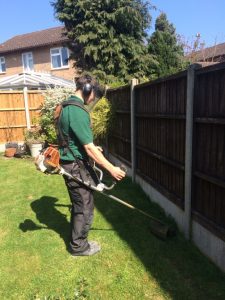 Lawn and strimmer